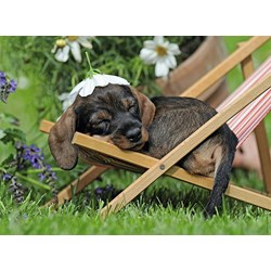 Ravensburger (14738) - "Charming Dachshund" - 500 Teile Puzzle