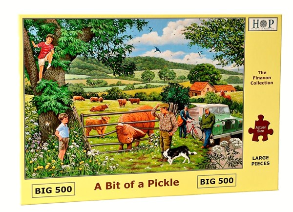 The House of Puzzles (4319) - "A Bit Of A Pickle" - 500 Teile Puzzle