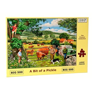 The House of Puzzles (4319) - "A Bit Of A Pickle" - 500 Teile Puzzle