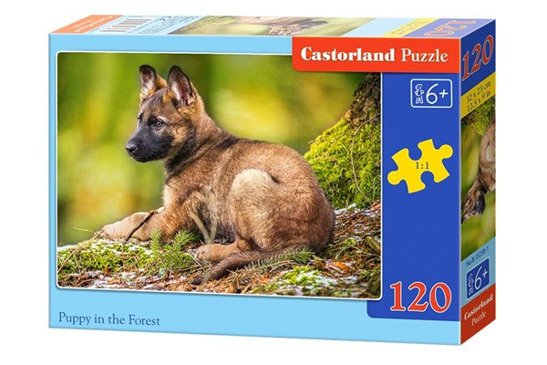 Castorland (B-13258) - "Welpe im Wald" - 120 Teile Puzzle