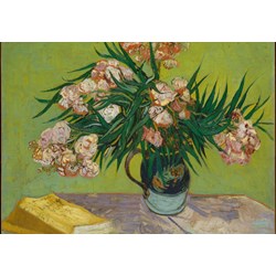Grafika Kids (00439) - Vincent van Gogh: "Oleanders,1888" - 100 Teile Puzzle