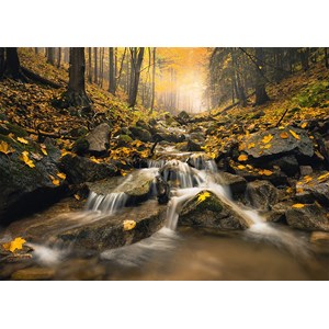 Schmidt Spiele (59385) - Stefan Hefele: "Märchenhafter Bach" - 1000 Teile Puzzle