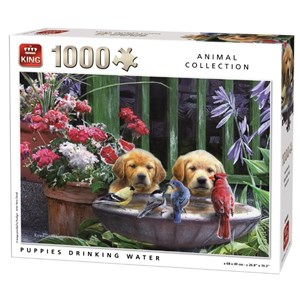 King International (05668) - "Puppies drinking Water" - 1000 Teile Puzzle