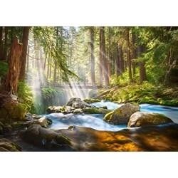 Castorland (B-52875) - "Sonnendurchfluteter Waldbach" - 500 Teile Puzzle