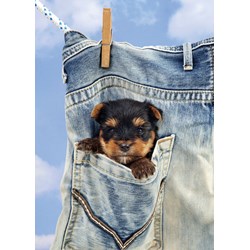 Art Puzzle (4163) - "Trocknen in der Hosentasche" - 500 Teile Puzzle