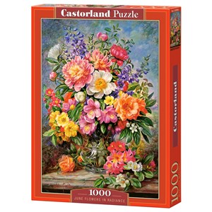 Castorland (C-103904) - "Blumen im Sonnenglanz" - 1000 Teile Puzzle