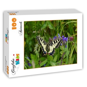 Grafika Kids (01222) - "Schmetterling" - 100 Teile Puzzle