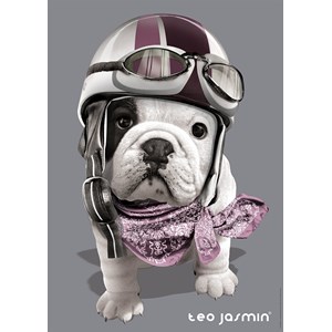 Nathan (87551) - "Téo Racing" - 1000 Teile Puzzle