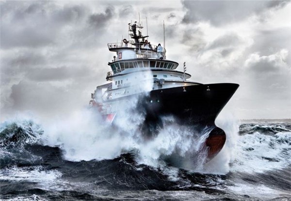 Educa (15795) - Philip Plisson: "Abeille Bourbon" - 500 Teile Puzzle