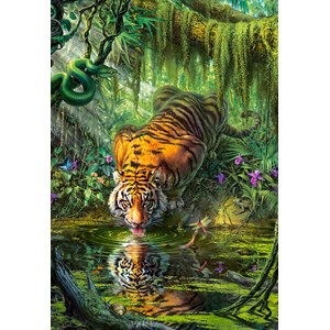 Castorland (C-103935) - "Tiger im Dschungel" - 1000 Teile Puzzle