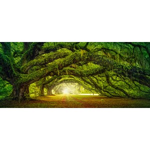 Castorland (B-060030) - "Licht am Ende des Waldes" - 600 Teile Puzzle