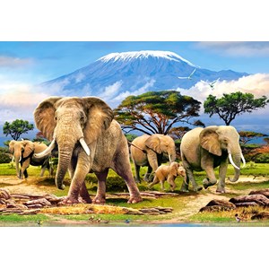 Castorland (C-103188) - "Elefantenherde am Kilimandscharo" - 1000 Teile Puzzle