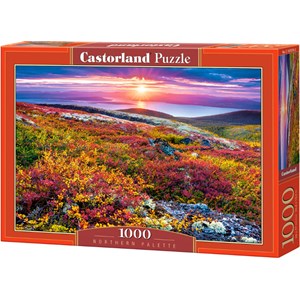 Castorland (C-103539) - "Sonnenuntergang in der Landschaft" - 1000 Teile Puzzle