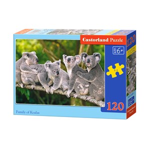 Castorland (B-13289) - "Die Koalafamilie" - 120 Teile Puzzle