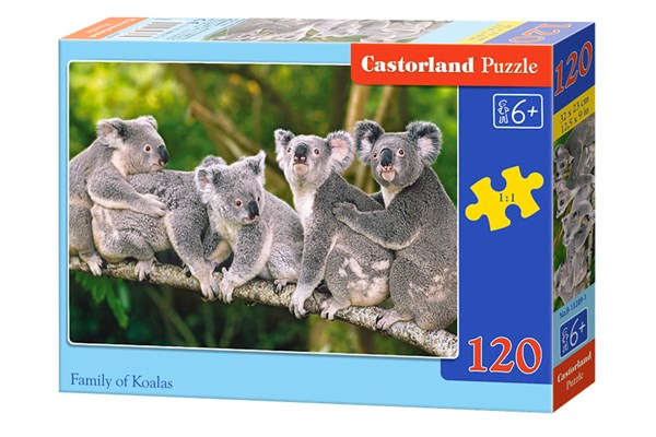 Castorland (B-13289) - "Die Koalafamilie" - 120 Teile Puzzle