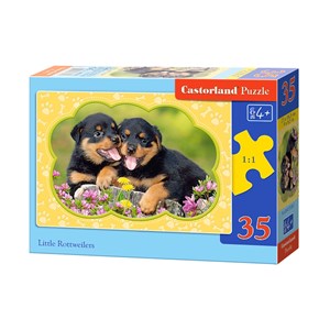 Castorland (B-035205) - "Little Rottweilers" - 35 Teile Puzzle