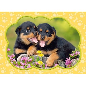 Castorland (B-035205) - "Little Rottweilers" - 35 Teile Puzzle