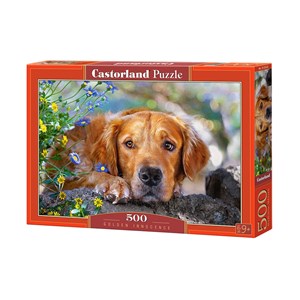 Castorland (B-52622) - "Unschuldiger Blick" - 500 Teile Puzzle