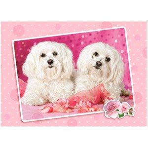 Castorland (B-13128) - "Zwei Hunde in Pink" - 120 Teile Puzzle