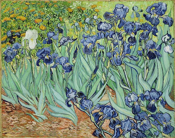 Piatnik (5331) - Vincent van Gogh: "Iris" - 1000 Teile Puzzle