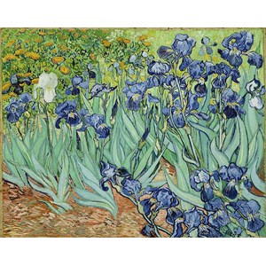 Piatnik (5331) - Vincent van Gogh: "Iris" - 1000 Teile Puzzle