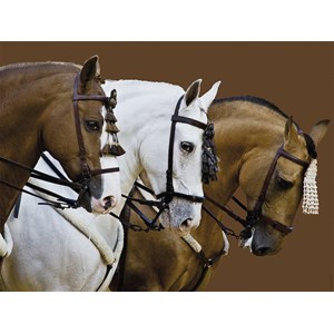 Ravensburger (16339) - "Fortune's Dream" - 1500 Teile Puzzle