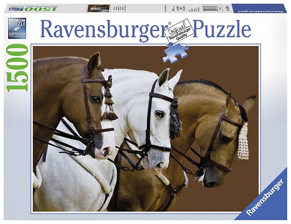 Ravensburger (16339) - "Fortune's Dream" - 1500 Teile Puzzle