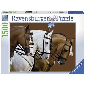 Ravensburger (16339) - "Fortune's Dream" - 1500 Teile Puzzle