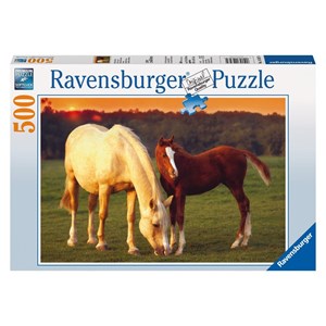 Ravensburger (14347) - "Schöne Pferde" - 500 Teile Puzzle