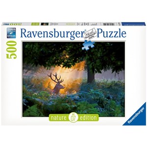 Ravensburger (14719) - "Magischer Lichteinfall" - 500 Teile Puzzle