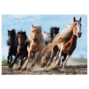 Trefl (10446) - "Galoppierende Pferde" - 1000 Teile Puzzle