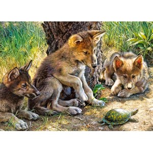 Castorland (B-27385) - "Spielen mit der Schildkröte" - 260 Teile Puzzle