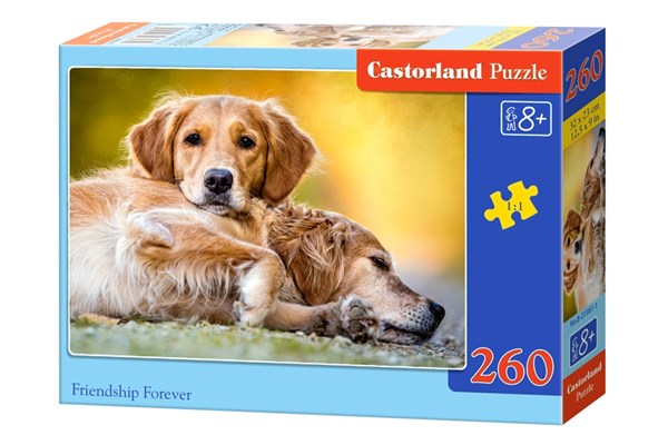 Castorland (B-27361) - "Freundschaft für immer" - 260 Teile Puzzle