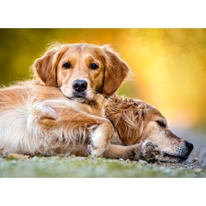 Castorland (B-27361) - "Freundschaft für immer" - 260 Teile Puzzle