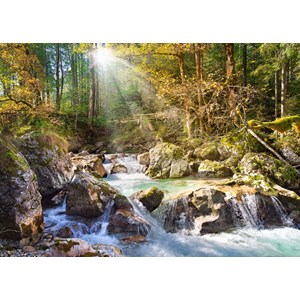 Castorland (C-200382) - "Strom im Wald" - 2000 Teile Puzzle
