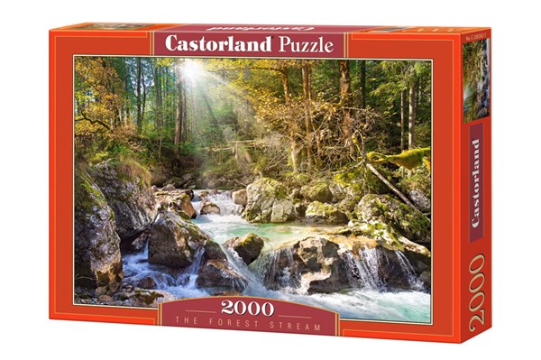 Castorland (C-200382) - "Strom im Wald" - 2000 Teile Puzzle