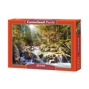 Castorland (C-200382) - "Strom im Wald" - 2000 Teile Puzzle