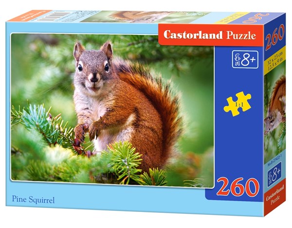 Castorland (B-27422) - "Süßes Eichhörnchen" - 260 Teile Puzzle