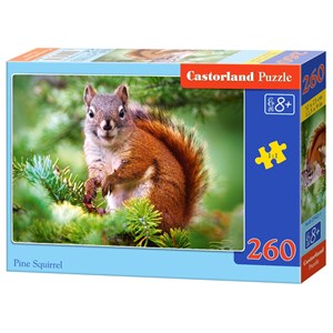 Castorland (B-27422) - "Süßes Eichhörnchen" - 260 Teile Puzzle
