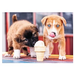 Trefl (37272) - "Zeit für Eis" - 500 Teile Puzzle