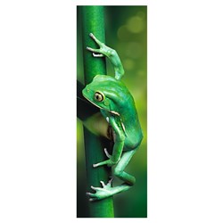 Trefl (75007) - "Der kleine Frosch" - 300 Teile Puzzle