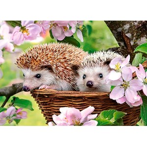 Castorland (B-13319) - "Süße Igel im Korb" - 120 Teile Puzzle