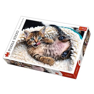Trefl (10448) - "Kätzchen" - 1000 Teile Puzzle