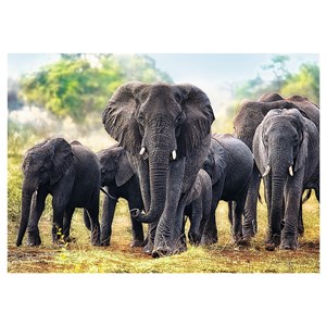 Trefl (10442) - "Afrikanische Elefanten" - 1000 Teile Puzzle