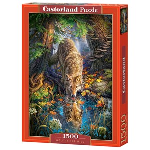 Castorland (C-151707) - "Wilder Wolf" - 1500 Teile Puzzle