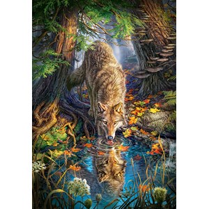 Castorland (C-151707) - "Wilder Wolf" - 1500 Teile Puzzle