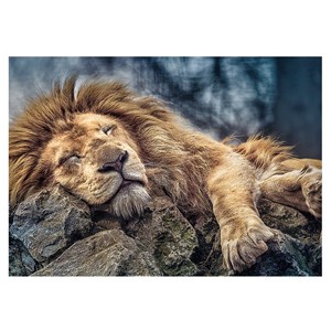 Trefl (10447) - "Schlafender Löwe" - 1000 Teile Puzzle