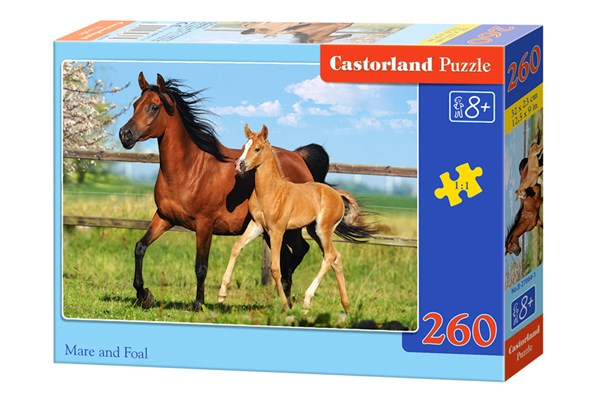 Castorland (B-27064) - "Stute und Fohlen" - 260 Teile Puzzle