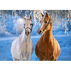 Castorland (B-27378) - "Süße Pferde im Winter" - 260 Teile Puzzle