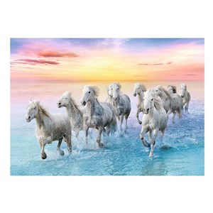 Trefl (37289) - "Galoppierende Wildpferde am Starnd" - 500 Teile Puzzle